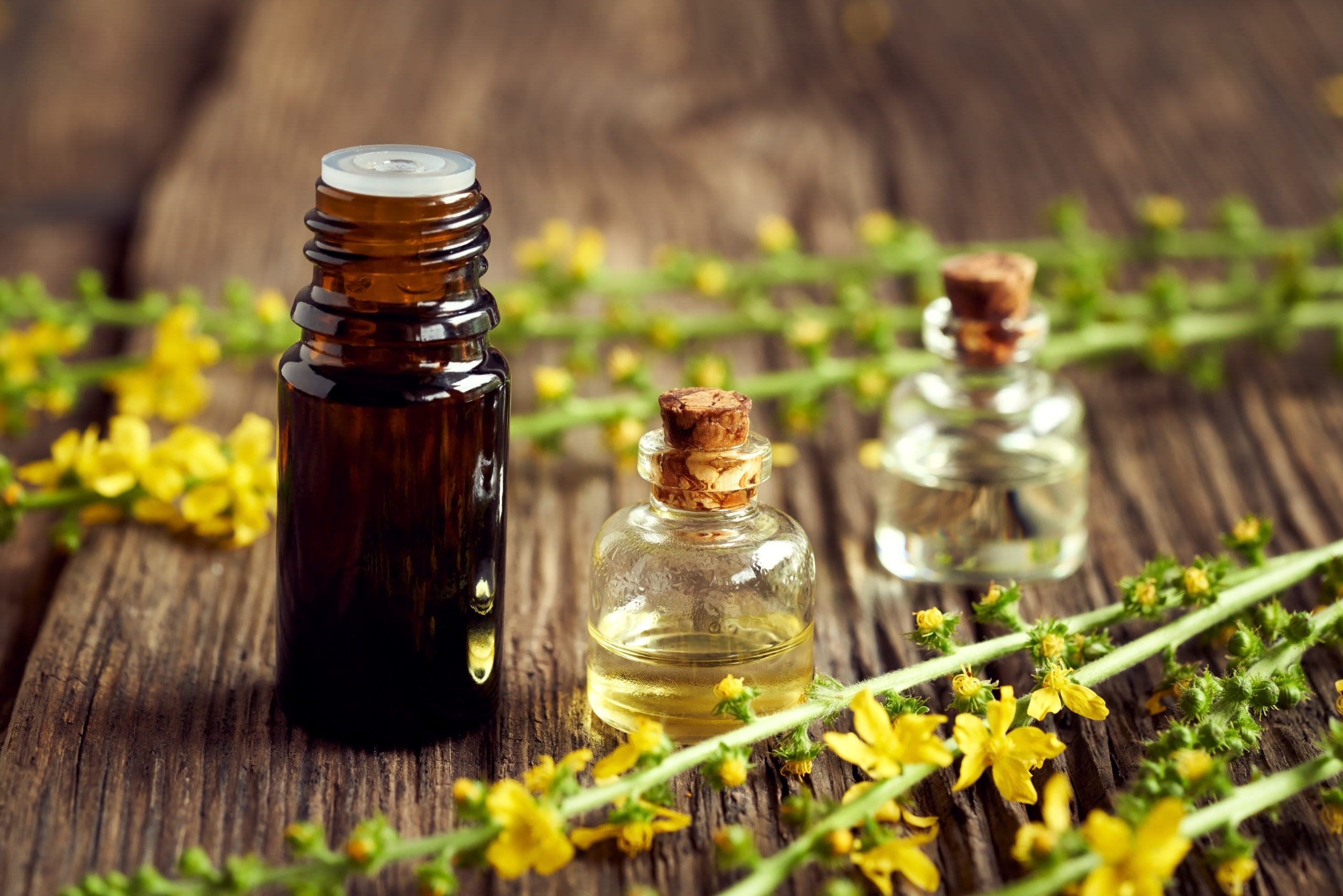 A bottle of aromatherapy essential oil with fresh agrimony flowe